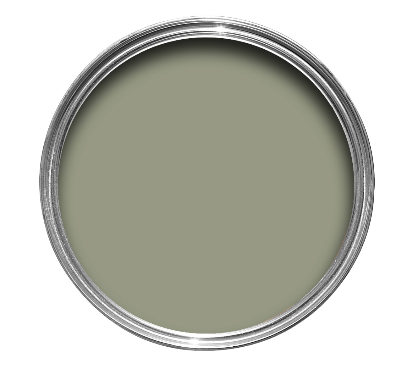 Lichen No. 19