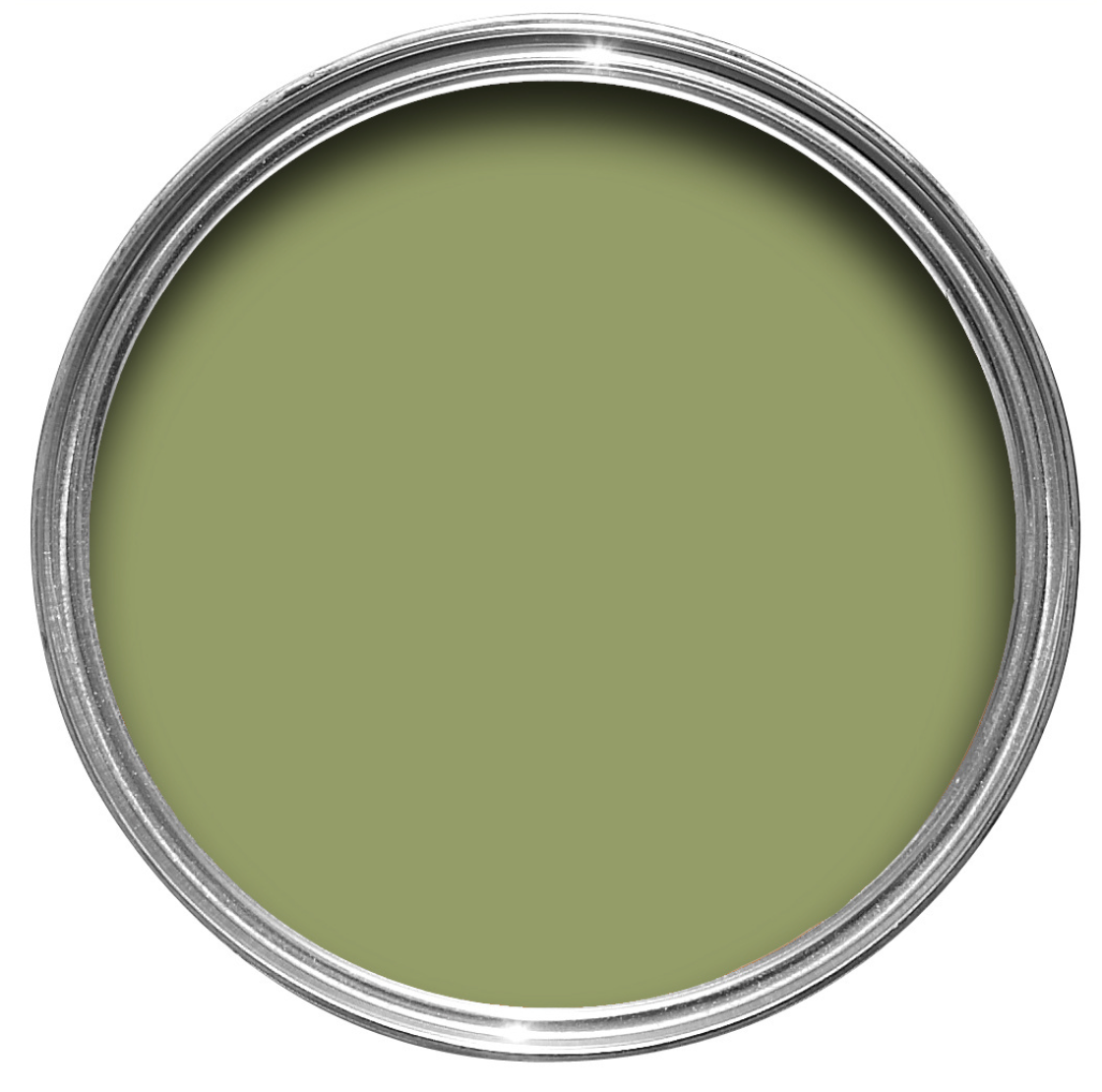 Olive No. 13