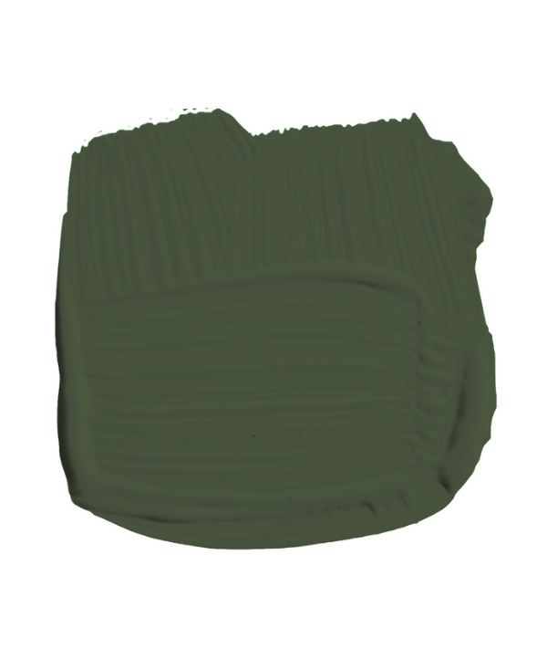Duck Green No.W55