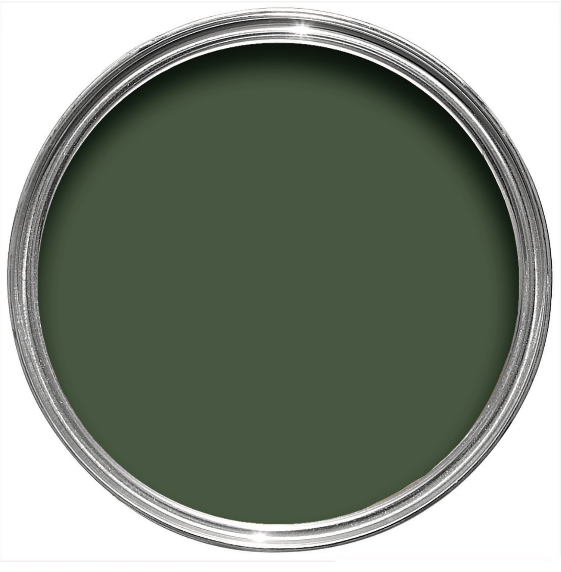 Duck Green No.W55