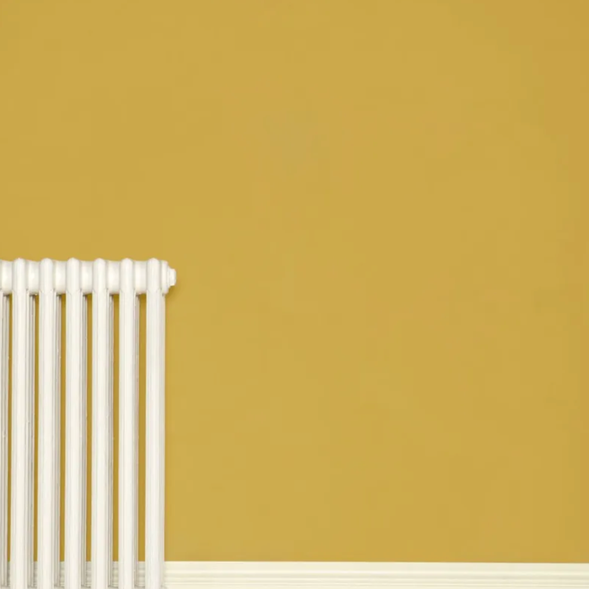 Print Room Yellow No. 69