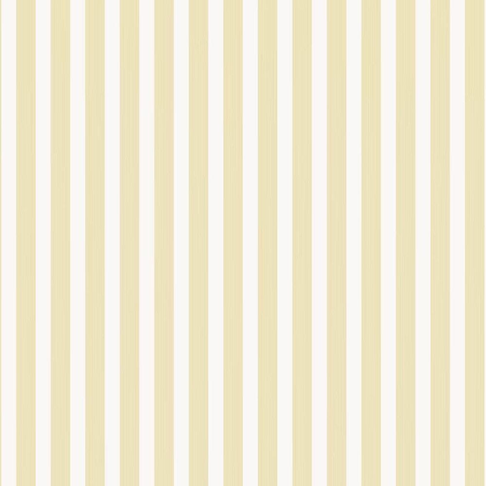 Closet Stripe