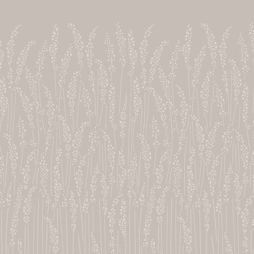 Feather Grass