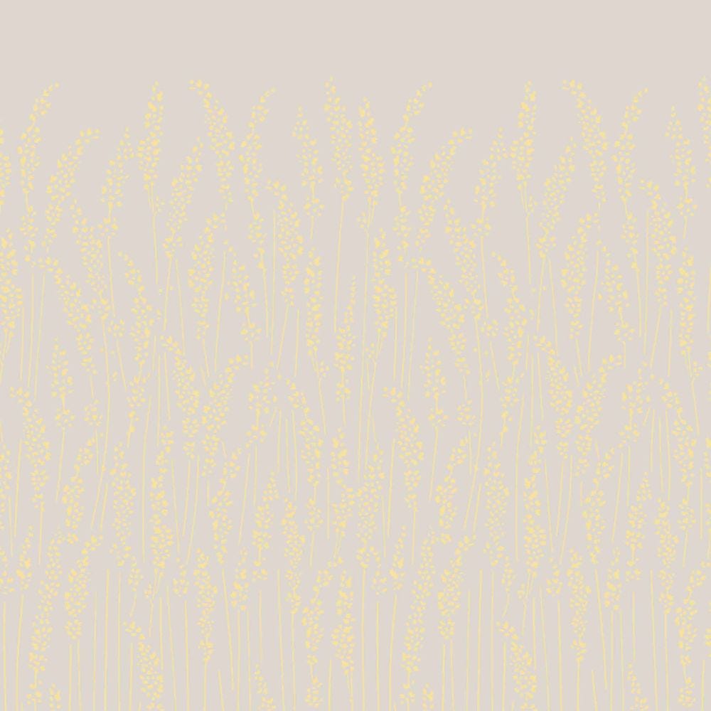 Feather Grass