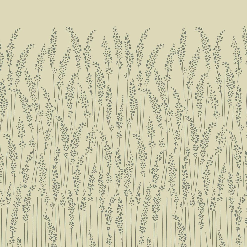 Feather Grass