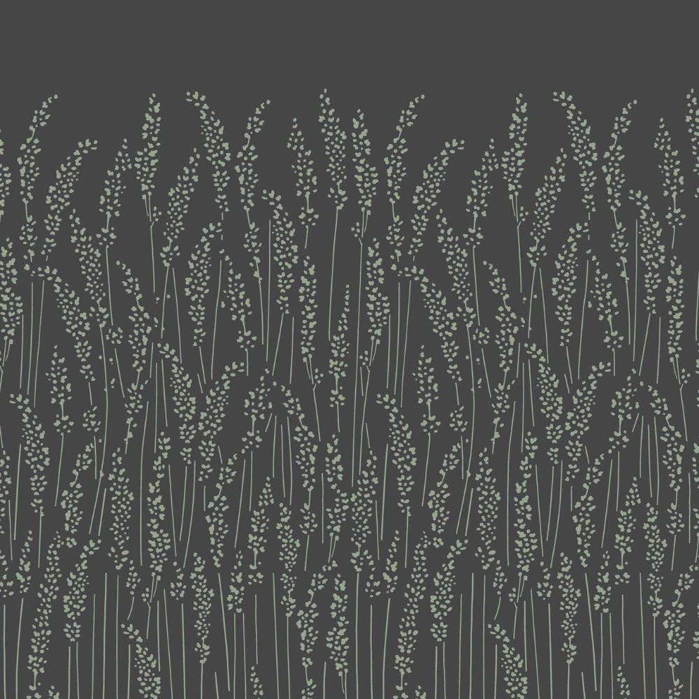 Feather Grass