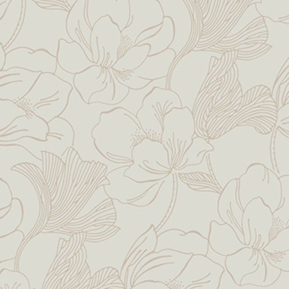 Helleborus