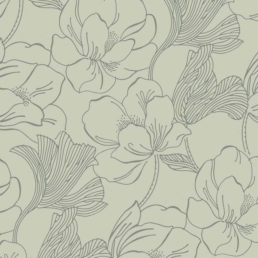 Helleborus
