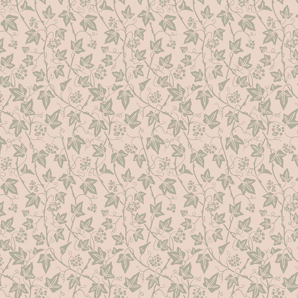 Ivy