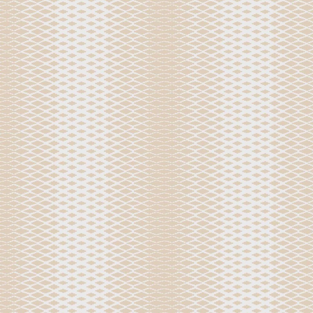 Lattice
