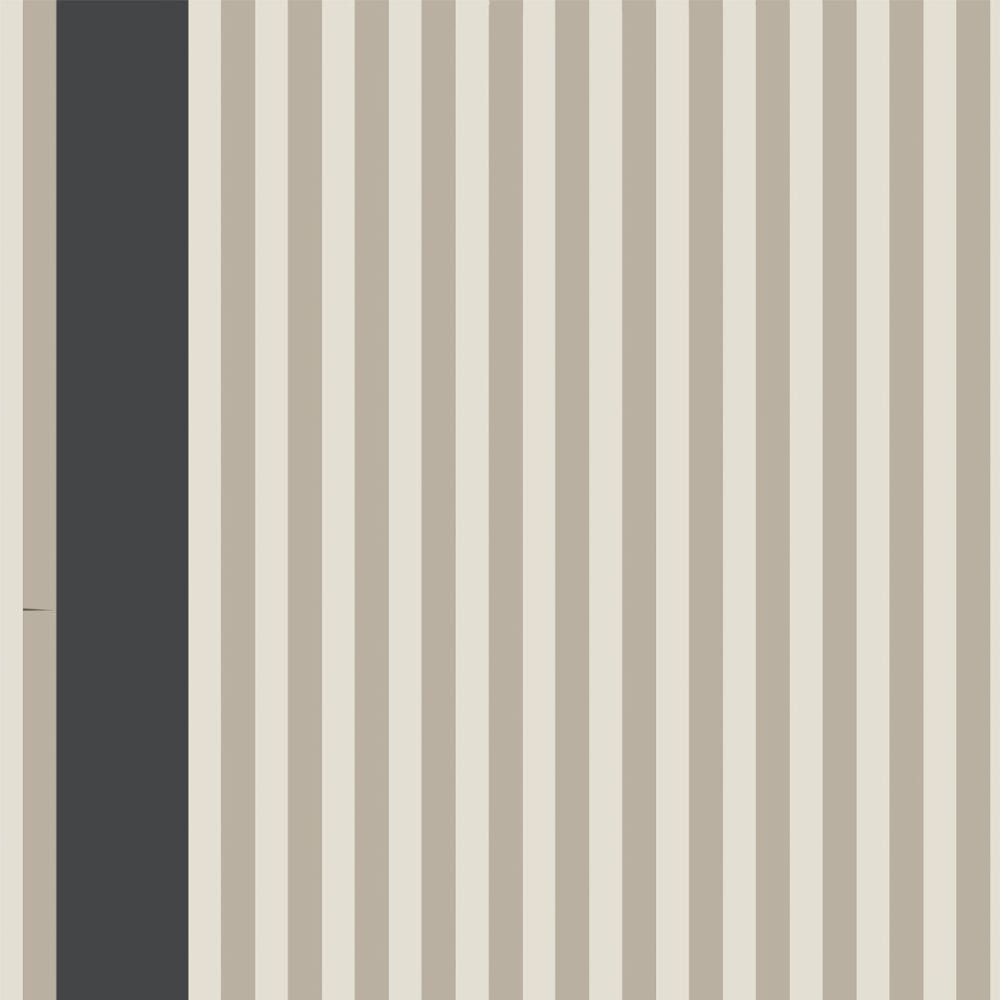 Stripe