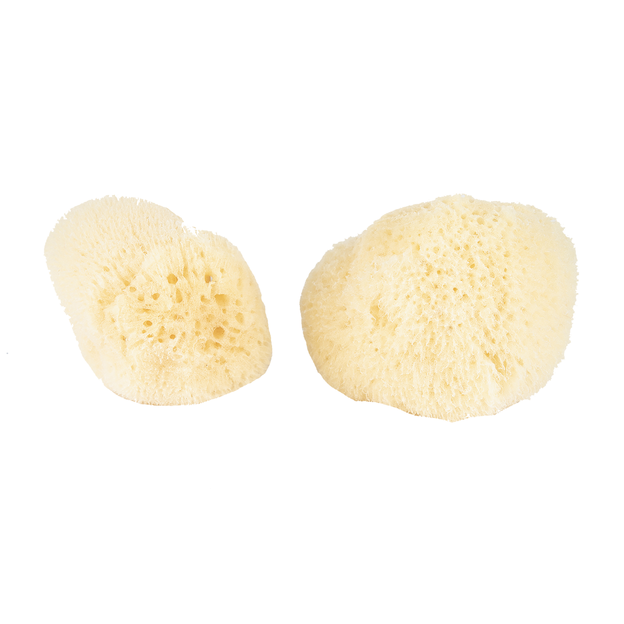 Silk Bulk Sponge 2.5"-3"
