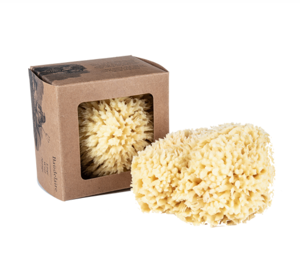 Bulk Sponge 4.5"