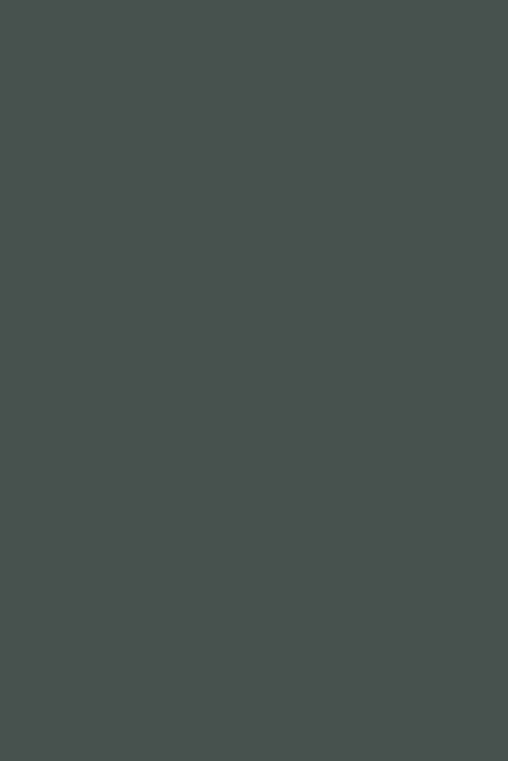 Chine Green No. 35