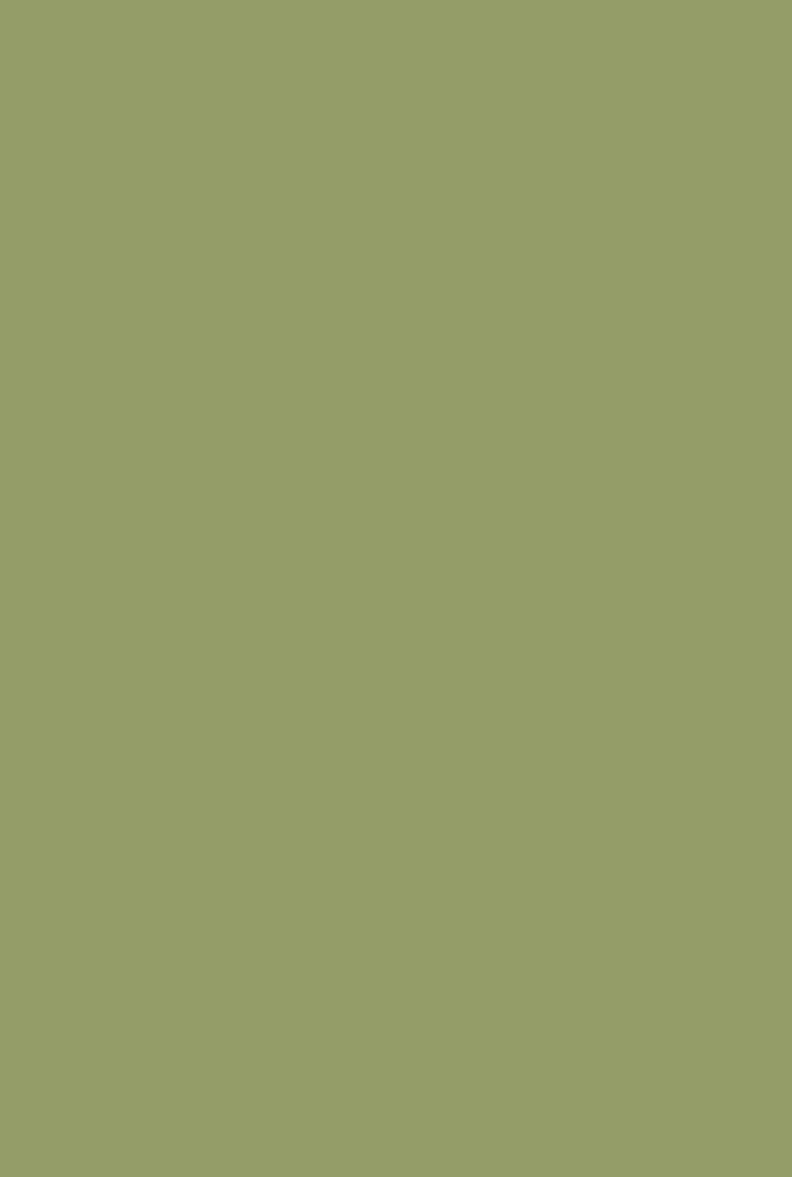 Olive No. 13