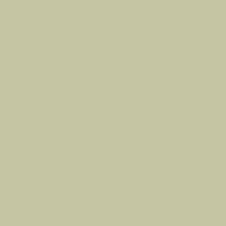 Stone White No. 11