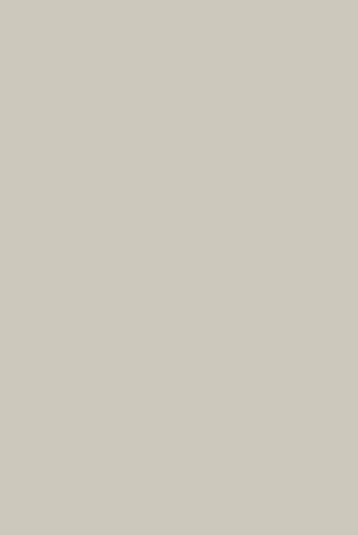 Shadow Gray No. 9904