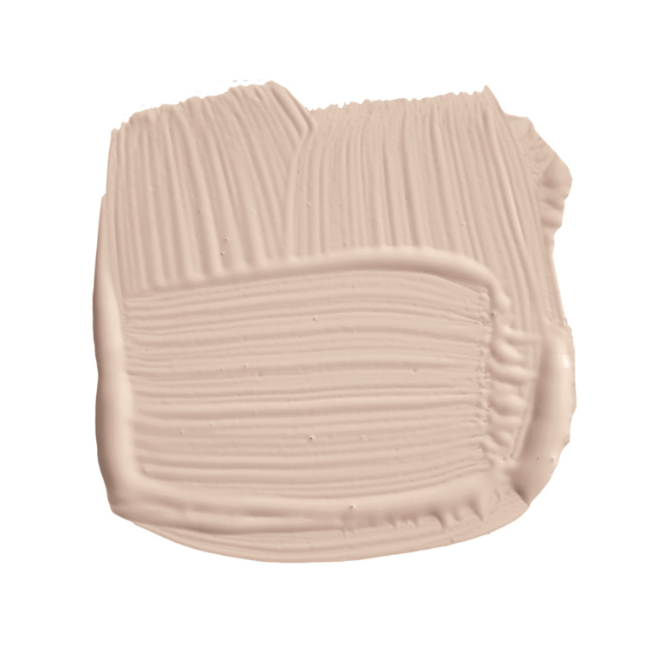 Setting Plaster No. 231
