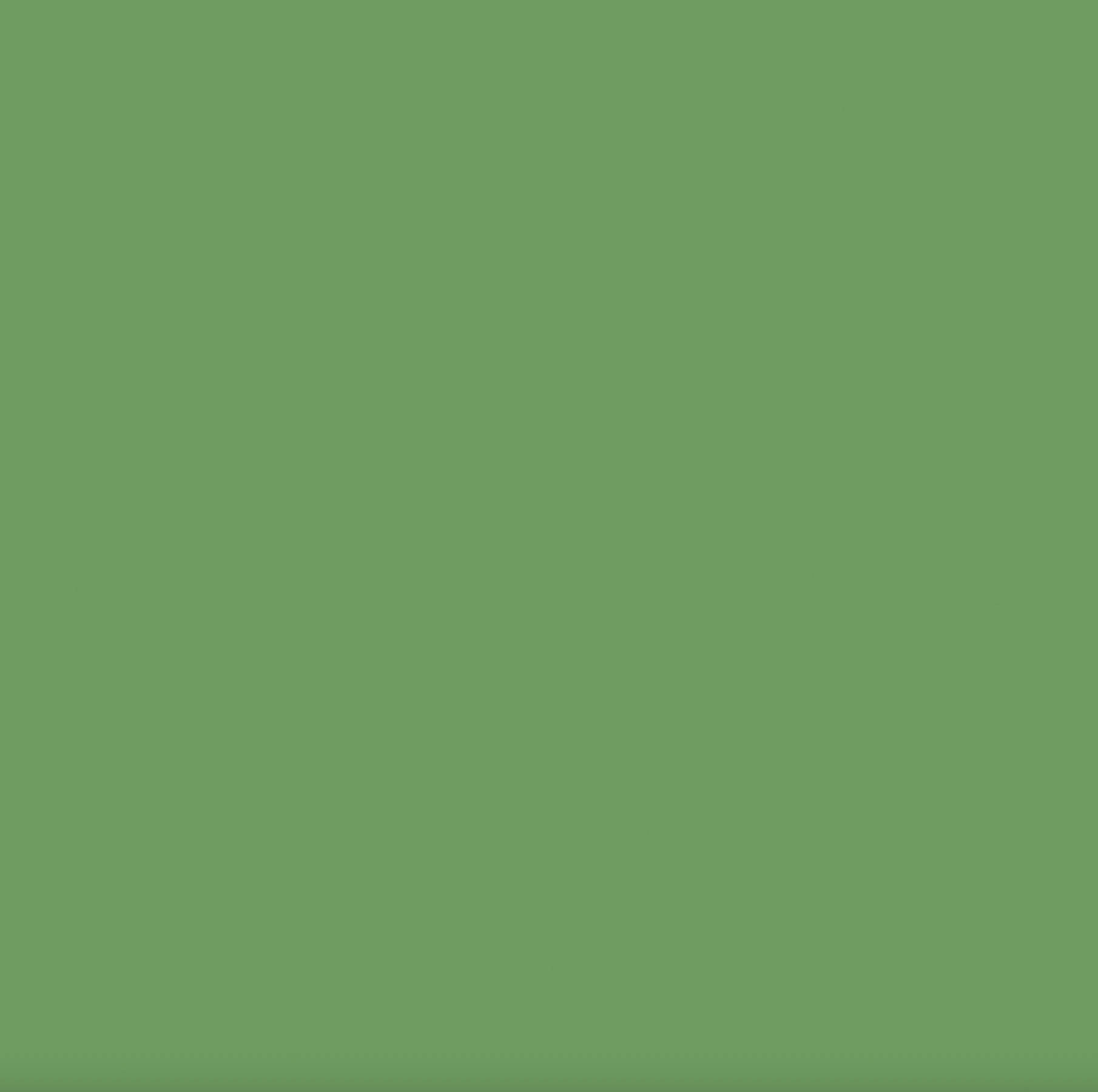 Raw Tomatillo No. CB6