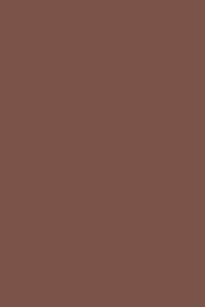 Etruscan Red No.56